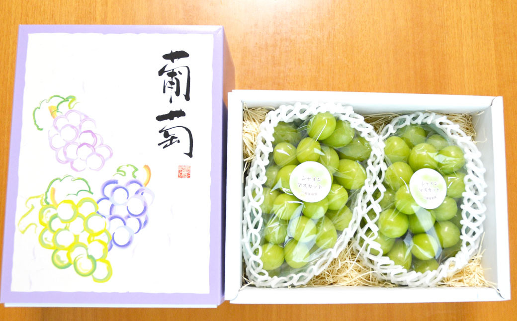 高級ぶどう・シャインマスカット2～3房セット《化粧箱入り》