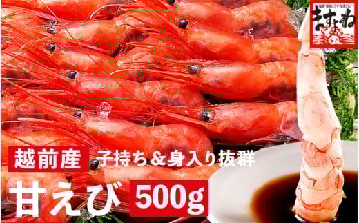 
[001-a021] 福井県産 越前子持ち甘えび 500g【 増米 ますよね 敦賀 甘エビ えび エビ 海老 冷凍 急速冷凍 】
