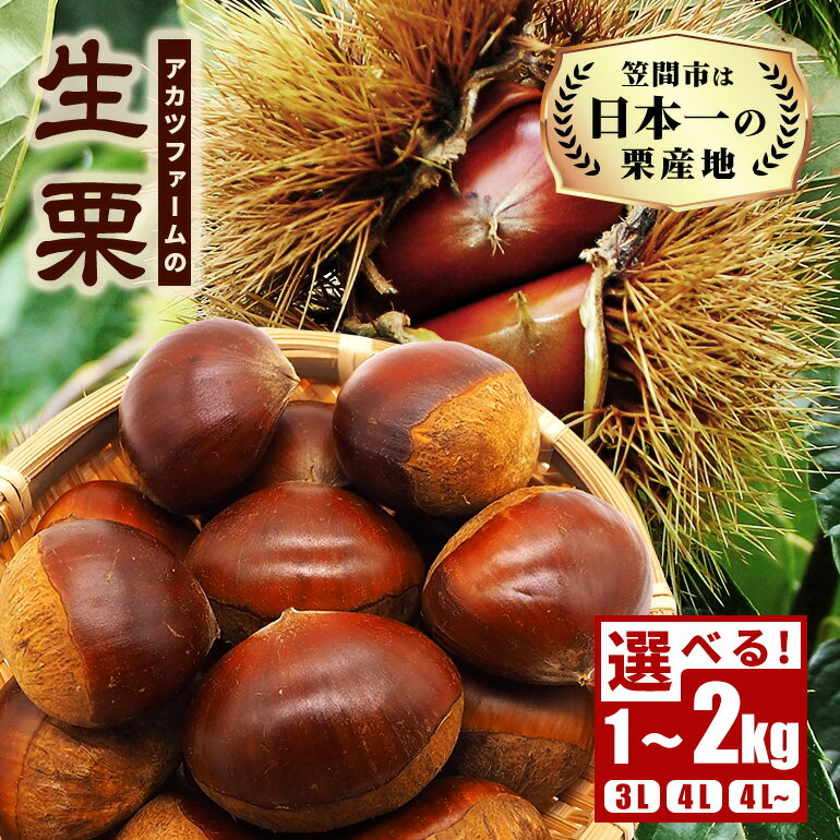【ふるさと納税】【2025年 秋 先行予約】生栗 栗 選べる サイズ(3L 4L 4L以上) 内容量(1kg 2kg) アカツファーム 笠間の栗 超特大 サイズ メガマロン 大粒 くり 和栗 栗ご飯 栗きんとん モンブラン 期間限定 数量限定 旬の味覚 マロン 国産 笠間市 茨城県