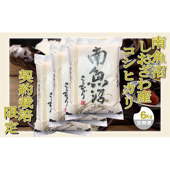 【ふるさと納税】【令和7年産】【定期便 精米6Kg×12ヶ月】契約栽培限定 南魚沼しおざわ産コシヒカリ | お米 こめ 白米 コシヒカリ 食品 人気 おすすめ 送料無料 魚沼 南魚沼 南魚沼市 新潟県産 新潟県