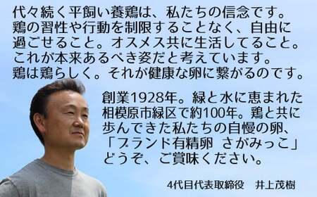 《かながわブランド認定》平飼い有精卵さがみっこ 10個入り×2パック 計20個 | 平飼い ケージフリー 卵 有精卵 鶏卵 玉子 たまご 生卵 国産 濃厚 コク 旨味 ※離島への配送不可