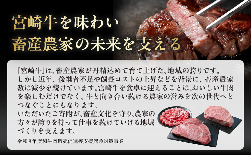 宮崎牛ロース焼肉用 500g×2パック_33-N2-013-1kg_イメージ5