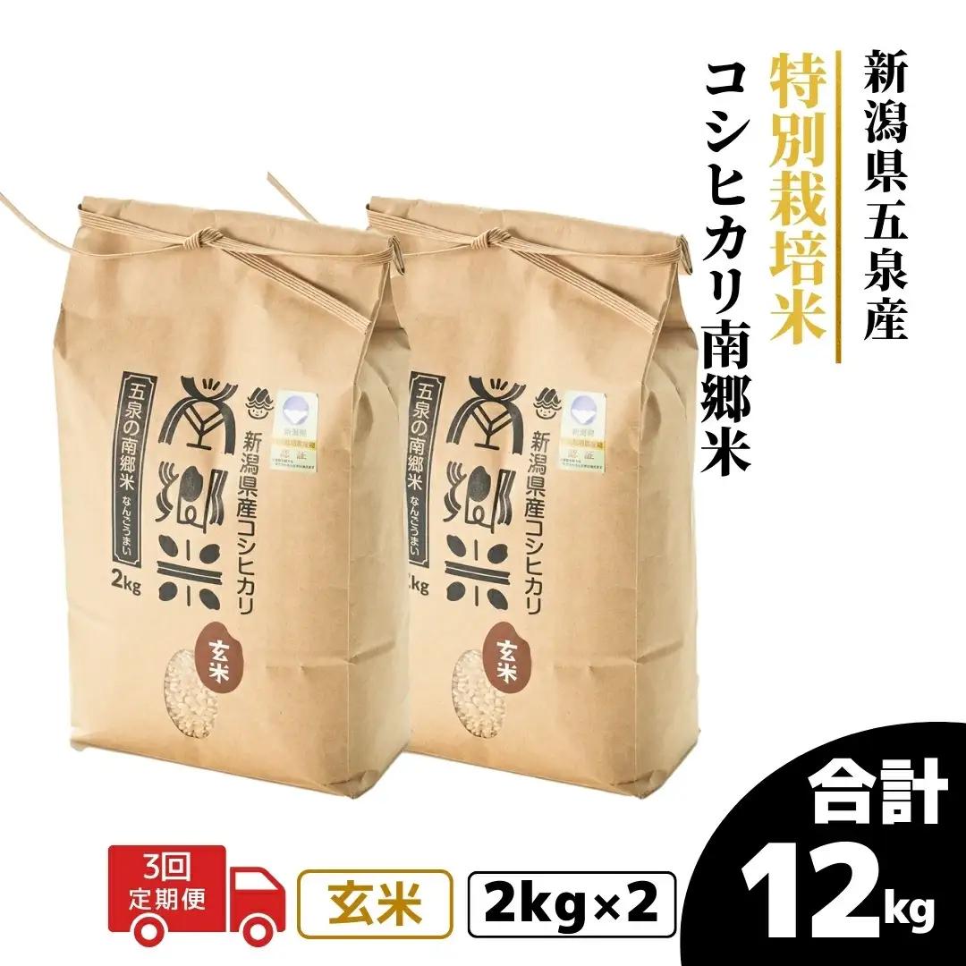 【3回定期便】コシヒカリ 玄米 4kg 2kg×2袋 特別栽培 南郷米｜玄米 コシヒカリ こしひかり