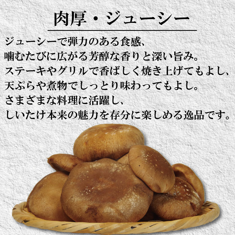 訳あり しいたけ 生 1.5kg 300g×5袋 徳島県産 国産 きのこ 茸 菌床椎茸 菌床栽培 菌糸 椎茸 生しいたけ 野菜 産地直送 ビタミンD 食物繊維 グアニル酸 低カロリー 健康 ダイエット