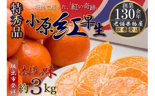 特秀品！小原紅早生みかん　約3kg【坂出発祥の真っ紅なお蜜柑】