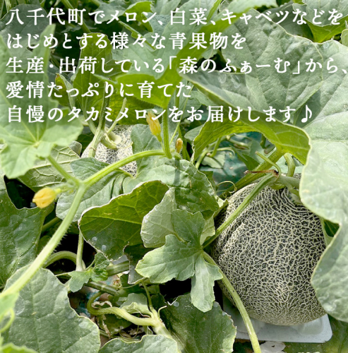 【先行予約 2026年6月中旬 以降発送】 令和8年度産 八千代町産 タカミメロン 優以上 1箱 (2玉 入り)　期間限定 産地直送 果物 フルーツ メロン 甘い [CL003ya]