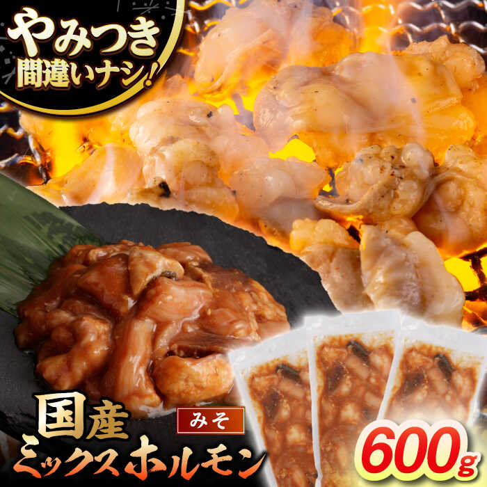 【ふるさと納税】【長崎和牛】ミックスホルモン（みそ） 200g×3袋 長与町/なかみ屋本舗[EAD090] 長崎和牛 国産 和牛 牛肉 ホルモン レバー ホルモンミックス 牛 ほるもん 冷凍 味付き タレ 味噌 味付け 小分け カット済 真空パック 焼肉 ミックス セット おかず おつまみ