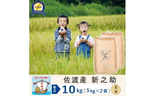 
            【新米予約 12か月定期便】佐渡島産 新之助 玄米10Kg 令和7年
          