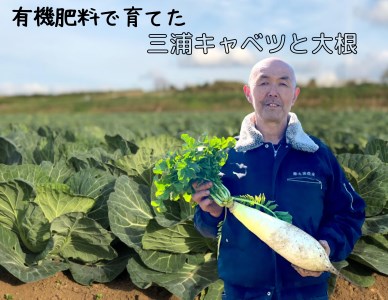 有機肥料 で 育てた キャベツ と 大根 セット M002-003 だいこん 野菜 葉野菜 根菜 期間限定 オリジナル 三崎恵水産 マグロ肥料 春 甘い 柔らかい 美味しい おいしい 丸徳農産 ふるさと納税 神奈川 三浦市 おすすめ ランキング プレゼント ギフト