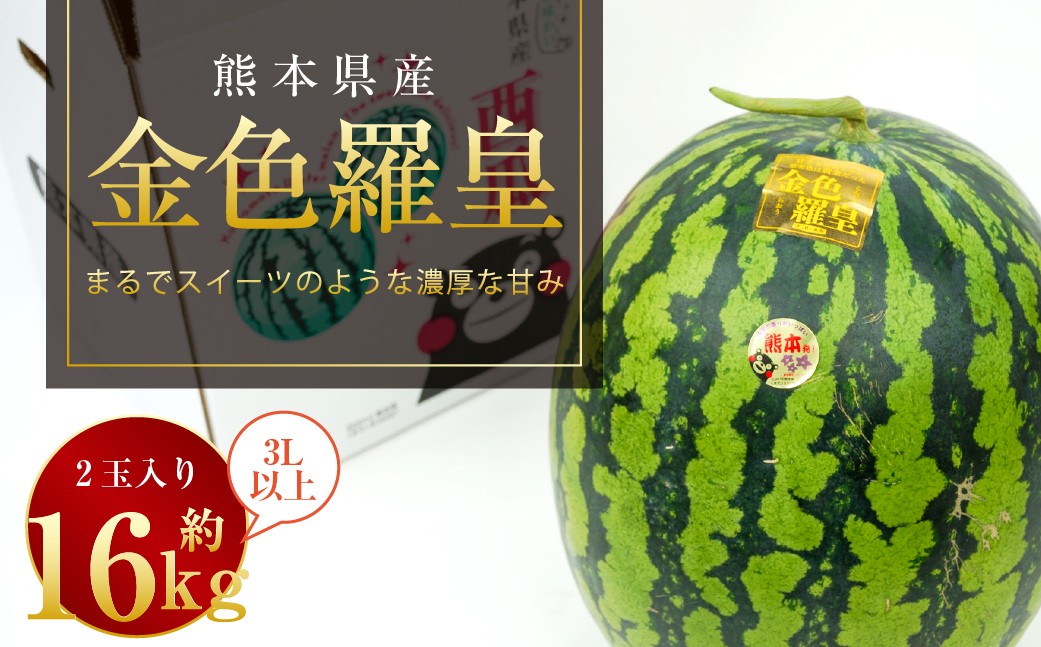 
            金色羅皇 2玉入り 3L以上 約16kg 【2026年5月上旬～2026年6月下旬発送予定】スイカ 甘いフルーツ 名産果物  果物 熊本県 
          