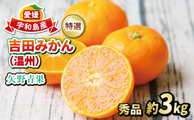 愛媛 みかん 贈答用 秀品 約 5kg 矢野青果 特選 温州 温州みかん 贈答用みかん 早生 早生温州 南柑20号 贈答品 ギフト プレゼント 高級 果物 くだもの フルーツ 柑橘 蜜柑 愛媛みかん 