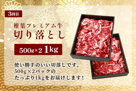 お試し定期便 【 定期便 3回 】 総重量 1,900g 牛肉 椎葉プレミアム牛の スライス肉 ＆ 切り落とし肉 定期便 【 日本三大秘境 椎葉村 育ちの黒毛和牛 】 牛肉 椎葉牛 椎葉プレミアム牛 