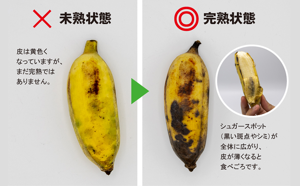 【沖縄本島産】金城敏春農園の「アップルバナナ」　3kg