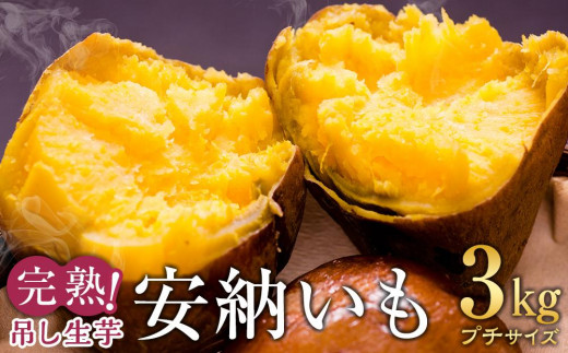 完熟吊し生芋　安納いも3kg（プチサイズ）【安納芋 安納いも 焼き芋 焼芋 やきいも さつまいも さつま芋 生芋 完熟 熟成 蜜 しっとり 甘い 安納いも 国産 鹿児島県産 種子島産 中種子町 安納大地 送料無料 N159】