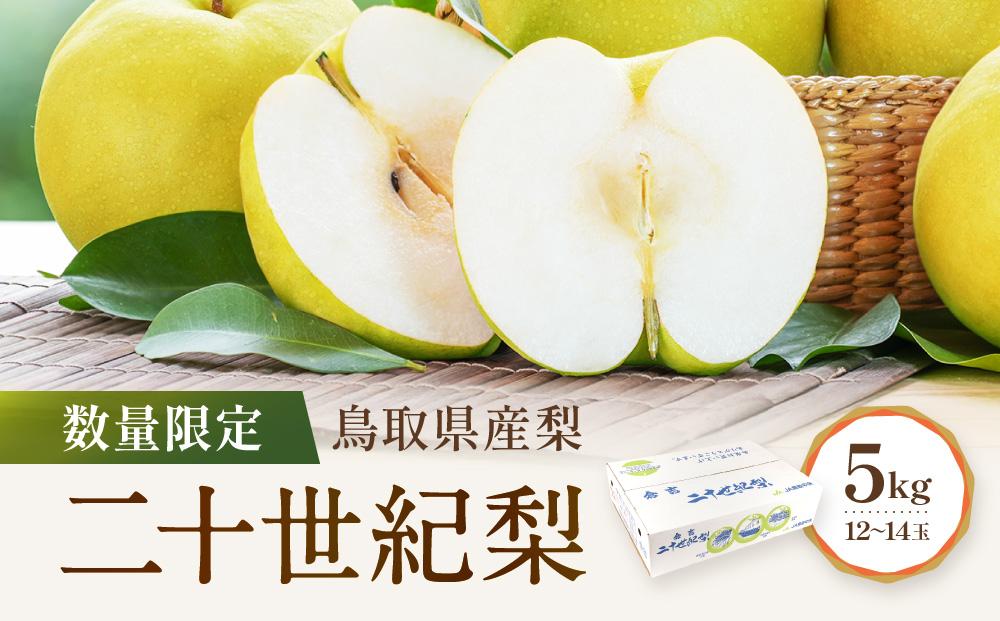 【先行予約】数量限定 鳥取県産梨 二十世紀梨 5kg（12～14玉）