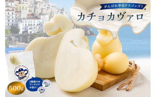 がんばれ中日ドラゴンズ！カチョカヴァロ500g【中日ドラゴンズコラボ】【 岐阜県 可児市 チーズ 乳製品 ミルク マイルド コク 熟成 セミハードタイプ 南イタリア原産 お取り寄せ グルメ 】