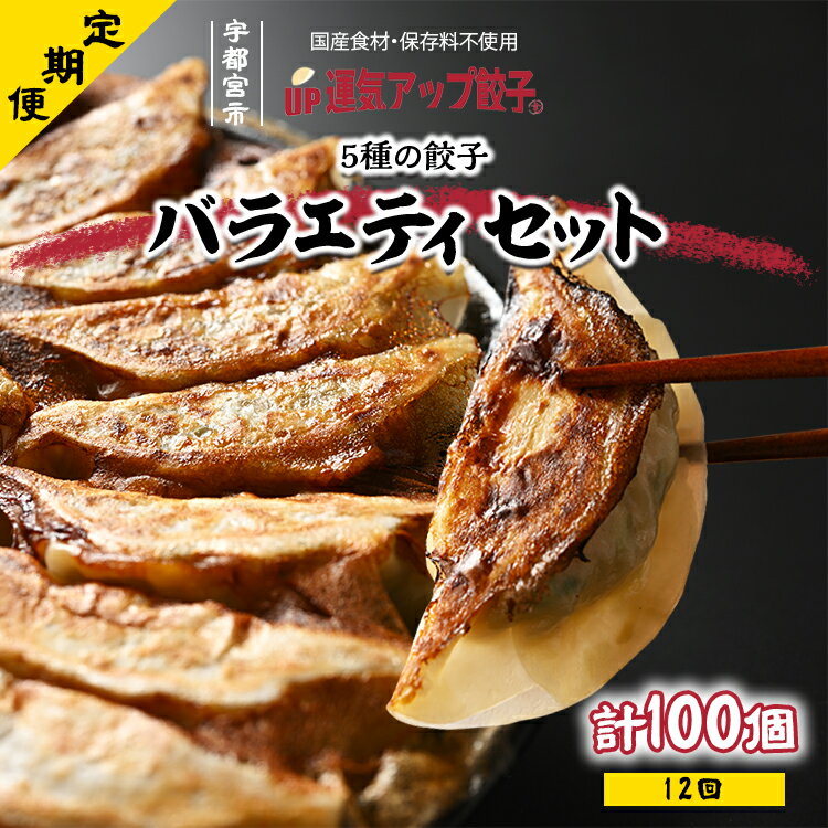 【ふるさと納税】【定期便12回】宇都宮餃子 運気アップ餃子 5種類味比べ(合計100個)　保存料不使用【ぎょうざ ギョウザ ギョーザ 冷凍食品 冷凍餃子 惣菜 夜ご飯 おかず おつまみ 手軽 時短 お取り寄せ グルメ 送料無料 栃木県 宇都宮市】※配送不可地域：離島