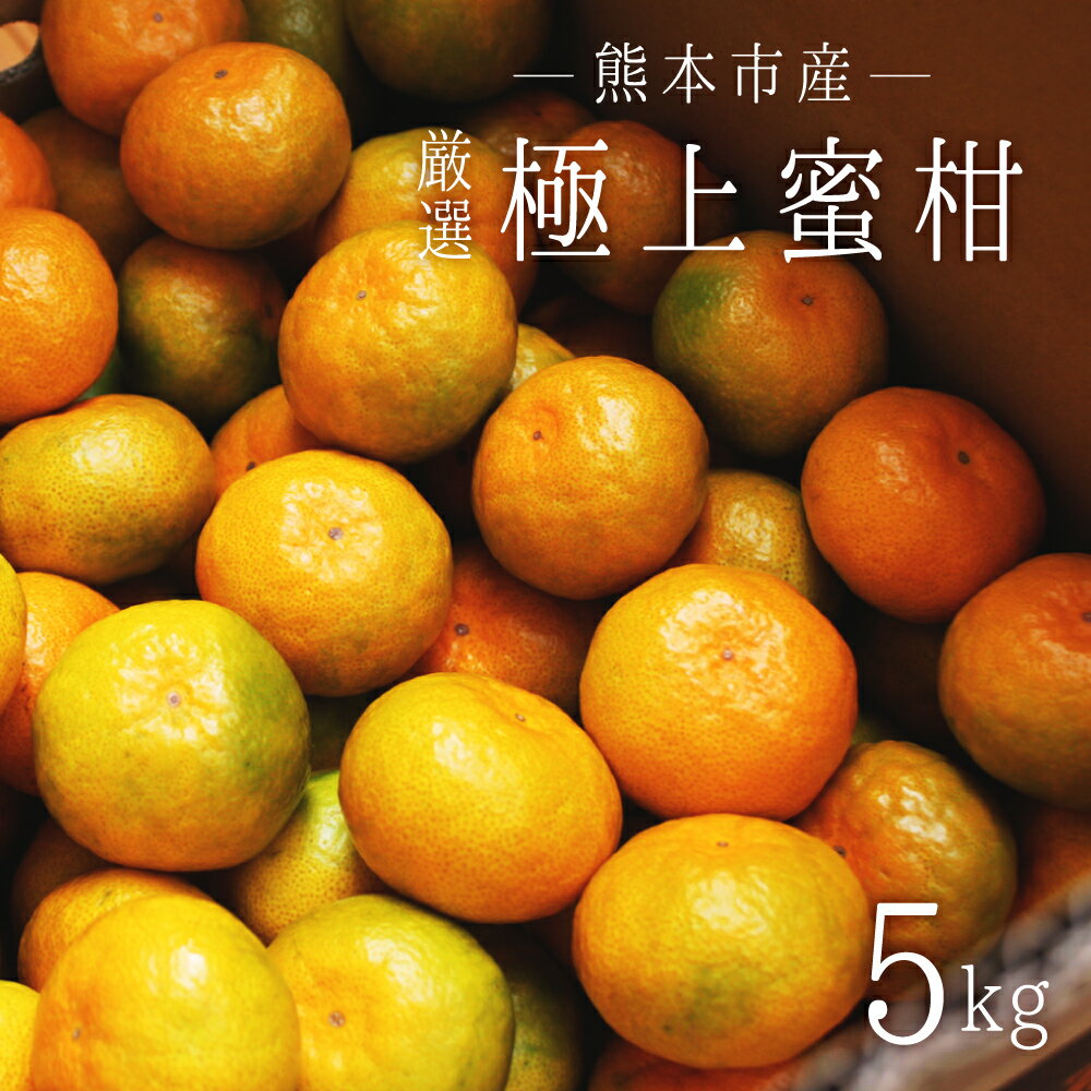 【ふるさと納税】 熊本市産 厳選 極上蜜柑 5kg みかん 蜜柑 ミカン 柑橘 フルーツ 果物 くだもの 果実 熊本市 熊本県 送料無料 【2025年9月上旬～2026年1月下旬迄発送予定】
