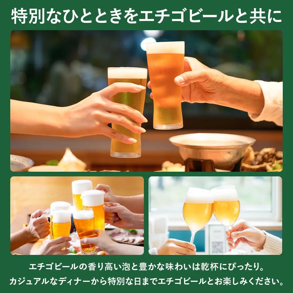 クラフトビール エチゴビール 笑顔が集う輝きビール 350ml 缶 24本 〔P-445〕ビール 地ビール 那須町