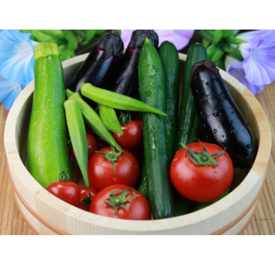 
＜地元で採れた野菜＞源気屋　高原野菜セット【1507579】
