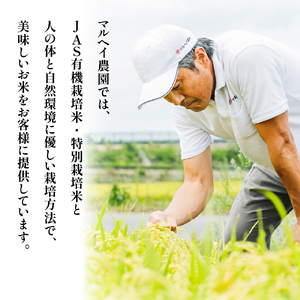 【 令和7年産 】 特別栽培米 雪若丸 計6kg ( 2kg×3袋 ) 〔2025年10月中下旬頃～順次お届け〕2025年産 産地直送 農家直送