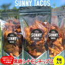 【ふるさと納税】【SUNNY TACOS】黒糖シナモンチップス 440g（110g × 4個） 沖縄県 おきなわ サニー タコス こだわり お菓子 手軽 子ども やみつき スナック おいしい 美味しい 人気 ご当地 名護市 なご 黒糖 おやつ 国産 県産