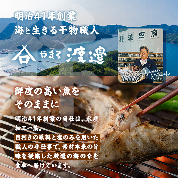 【期間限定・さば切り身2切付】＜訳あり＞ 干物大満足BOX (40尾以上・5-8種) 訳あり 大満足 BOX セット 干物 みりん干し あじ アジ かます カマス ブリ ブリカマ さば いわし たい 