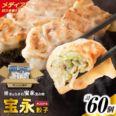 ふるさと納税 苫小牧市 ぎょうざの宝永　宝永餃子15個入セット(宝永餃子15個入×4袋)合計1.5kg