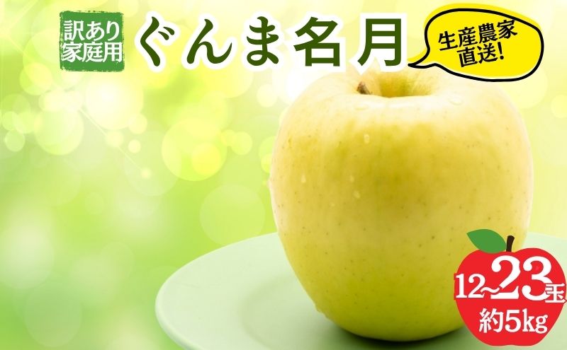 ぐんま名月 訳あり家庭用 約5kg 12～23玉 りんご 果物 訳あり 信州 長野