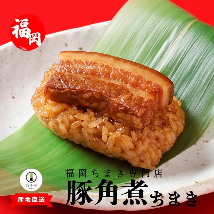 【ふるさと納税】竹千寿　豚角煮ちまき9個入り　M664-1
