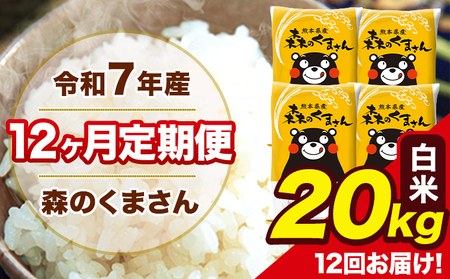 米 令和7年産 森のくまさん 白米 20kg 5kg×4袋 計12回お届け 《お申込み翌月から出荷》 お米 こめ 熊本県産 ご飯 備蓄