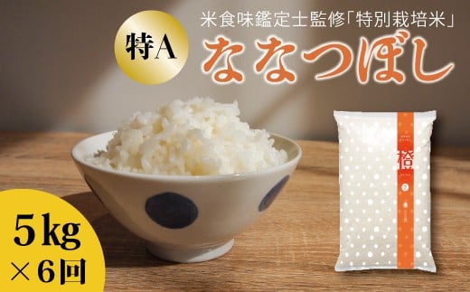 【北海道　農家直送！　定期便】舟山農産　特別栽培米ななつぼし　令和7年産新米　5kg×6回コース
