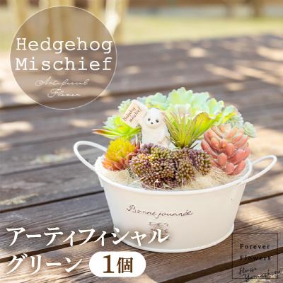 ふるさと納税 山梨市 いたずらハリネズミと多肉植物のアーティフィシャルグリーン