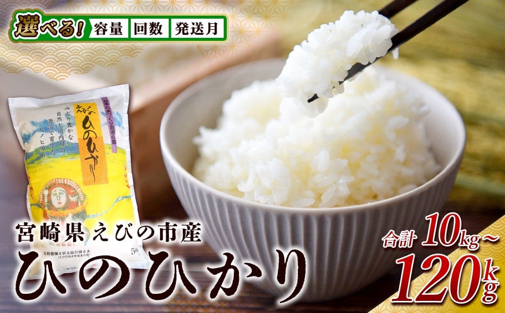 
            【発送月/回数が選べる！】米 【年間定期便】ひのひかり 10kg 令和7年産 九州 特A 霧島 えびの産 ヒノヒカリ 特選米 ブランド米 お米 おこめ こめ コメ 白米 精米 ふるさと納税 5キロ 30キロ 60キロ 120キロ 九州産 宮崎県産 宮崎県 えびの市 えびの市産 送料無料 単一原料米
          