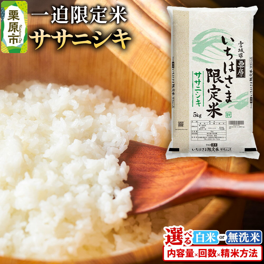 【ふるさと納税】【白米】令和7年産 一迫限定米 ササニシキ【選べる白米・無洗米×容量×お届け回数】