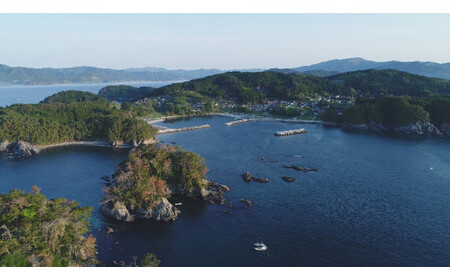 先行予約 【毛ガニ 約300g×1匹】 陸前高田産 毛ガニ 生きたまま発送！ 【 かに カニ 魚介類 旬 鮮度抜群 産地直送 三陸産 】2025年2月下旬から発送予定 RT2659