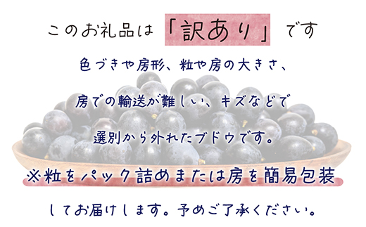 【2026年先行受付】岡山　花笑み農園のブドウ『訳ありBKシードレス』1kg　WB-1【配送不可地域：離島】