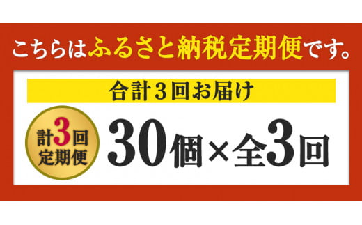 【定期便】計3回お届け 朝獲れ卵 味宝卵30個×3回お届け 卵 Lサイズ：鶏卵 《お申込み月の翌月より出荷開始》---iskr_ngmmhrtei_23_23300_mo3num1---