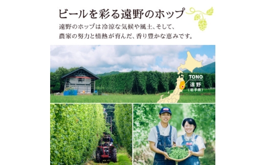 キリン 一番搾り とれたてホップ 生ビール 350ml×24本 2ケース＜複数個口で配送＞【4091263】