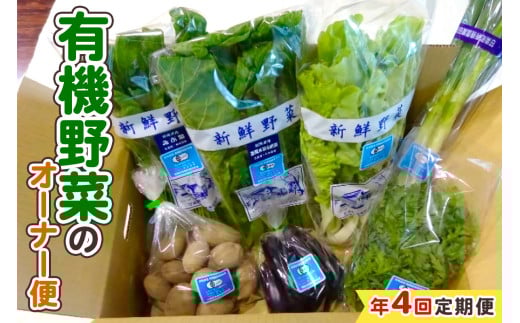 [定期便／4回] 有機野菜のオーナー便｜季節野菜 新鮮野菜 獲れたて 産地直送 群馬県産 甘楽町産 [0208]