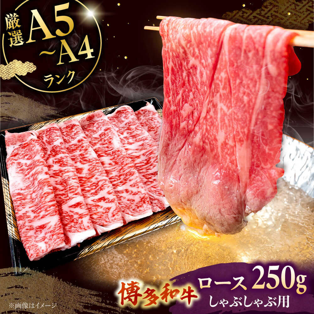 【ふるさと納税】【お中元対象】【数量限定 博多和牛】ロース しゃぶしゃぶ用 250g ▼ 国産 牛肉 肉 お肉 すきやき すき焼き肉 A4 A5 ブランド牛 黒毛和牛 冷凍 冷凍配送 桂川町/株式会社チクゼンヤ[ADBZ041]
