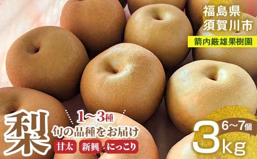 梨 甘太 新興 にっこり 1～3種入り 3kg 6～7個 ＜箭内厳雄果樹園＞ F7X-0223