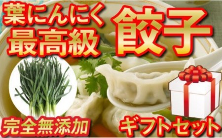 葉ニンニク と 四万十豚で作った  餃子 ギフト 餃子 餃子 餃子 餃子 餃子 餃子 餃子 餃子 餃子