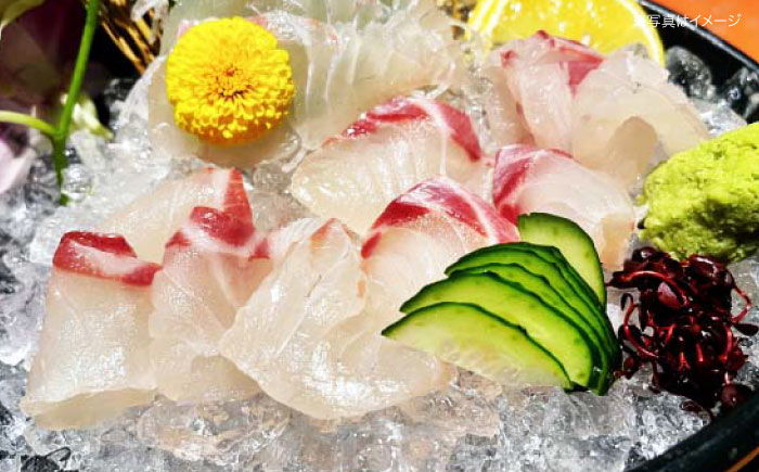 【冷凍】国内最高級 養殖真鯛 『愛鯛』1尾（3枚卸済 フィレ2枚 お頭付き） タイ たい 刺身 冷凍 さしみ 刺し身 愛媛県大洲市/愛媛県漁業協同組合 [AGDA001]