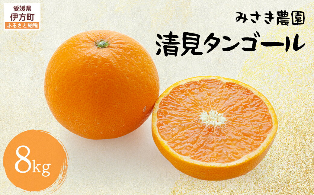 【ふるさと納税】清見タンゴール 8kg ※北海道、沖縄・離島への配送不可（2026年3月中旬頃から順次発送）【ふるさと納税 人気 おすすめ ランキング みかん ミカン 蜜柑 柑橘 清見タンゴール 産地直送 果物 フルーツ 愛媛県産 みさき農園 愛媛県 伊方町 送料無料】 IKTAP003