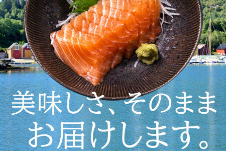 【ふるさと納税】 サーモン メルティーサーモン 500g アトランティックサーモン [ 小分け 刺身 鮭 冷凍 さけ サケ 海鮮 生サーモン 急速冷凍 魚 生食サーモン 人気 ランキング 三豊市 香川