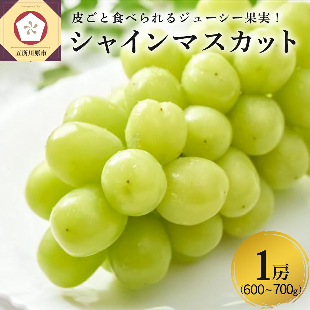 【ふるさと納税】【 先行予約 / 2025年11月上旬発送 】 大粒 シャインマスカット 1房 (3L～4L / 600～700g)｜ ぶどう葡萄 フルーツ 果物 くだもの 贈り物 ギフト 贈答 秋 旬 青森県 五所川原市
