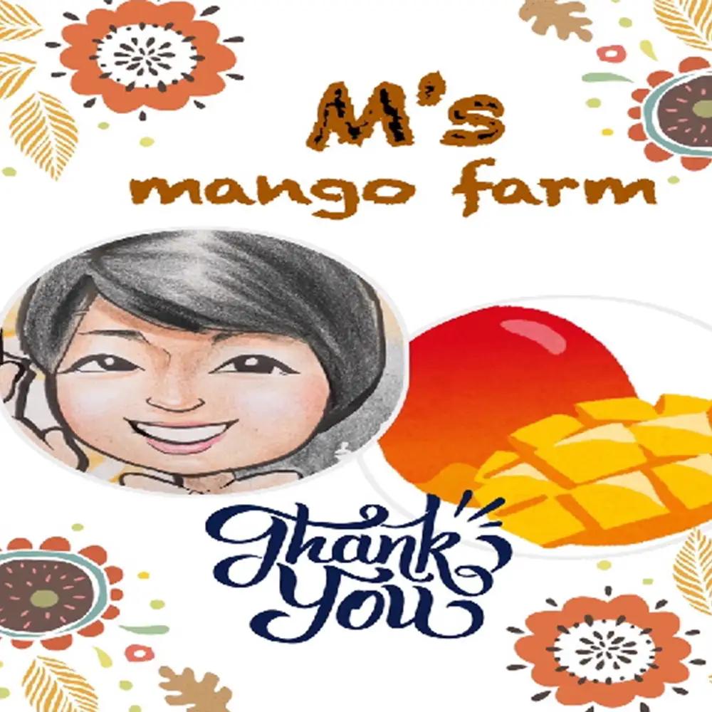 2026年発送【沖縄やんばる産】約2kg 良品アップルマンゴー（Ms mango farm） 南国 南国フルーツ 先行予約 期間限定 沖縄 甘味 糖度 フルーツ 果物 果実 プレゼント ギフト トロピ