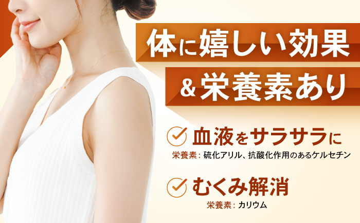 諫早産新玉ねぎ 10kg / 新玉ねぎ 玉ねぎ 玉葱 たまねぎ タマネギ 野菜 やさい 10kg 甘い / 諫早市 / 松尾農園 [AHAY029]
