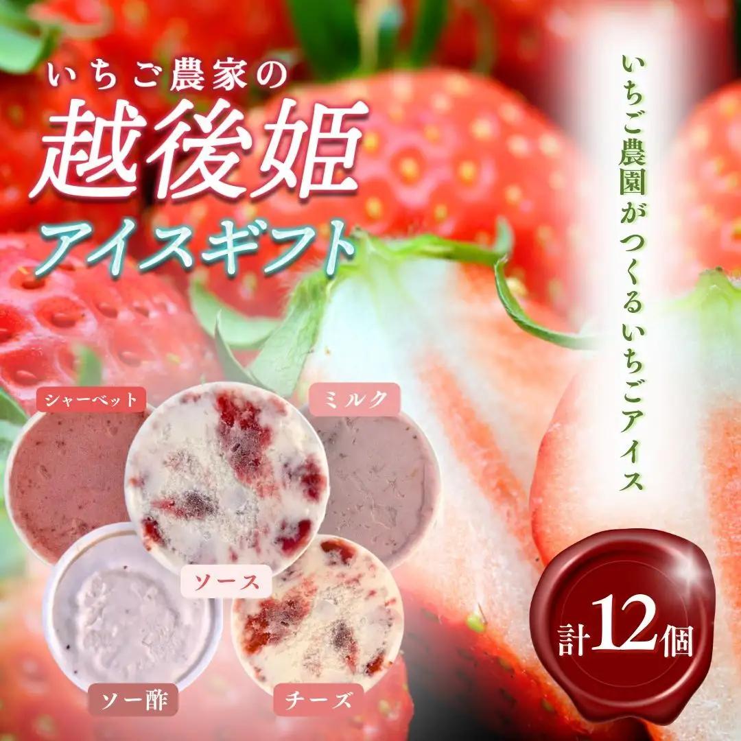 越後姫 アイス ギフト 12個セット 冷凍 新潟 アイス